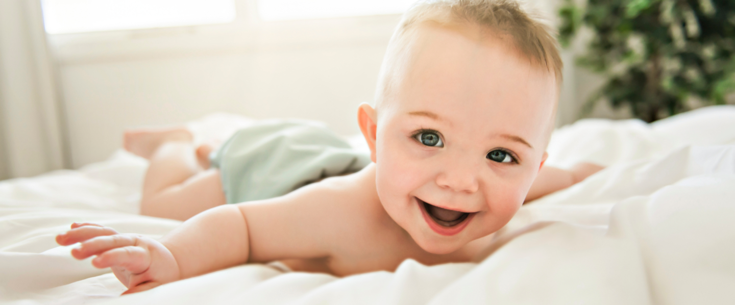 home-background-overlay